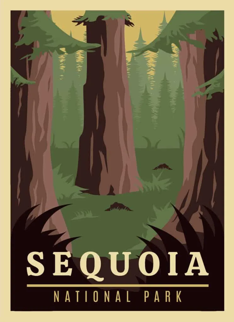 A vintage-style Sequoia National Park poster: giant redwood trunks in browns and greens, ferns at their feet, the park name lettered across the foot.