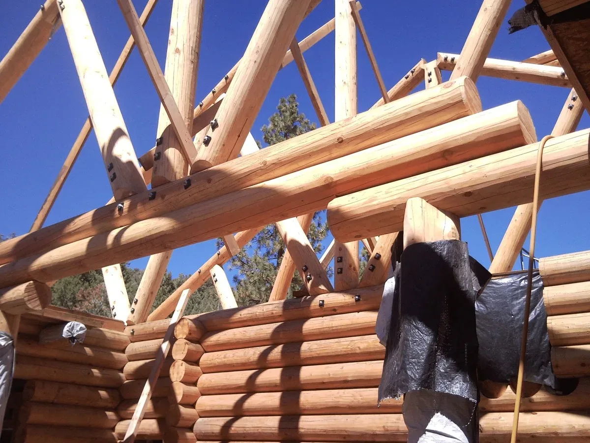 A round-log home going up: stacked red cedar wall logs and the first roof purlins and rafters against a clear blue sky.