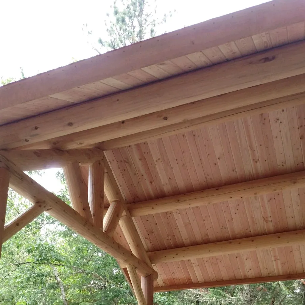 Looking up under a pavilion roof: peeled round log purlins run across beneath a tongue and groove cedar ceiling, carried by a log truss with its king post and angled braces.