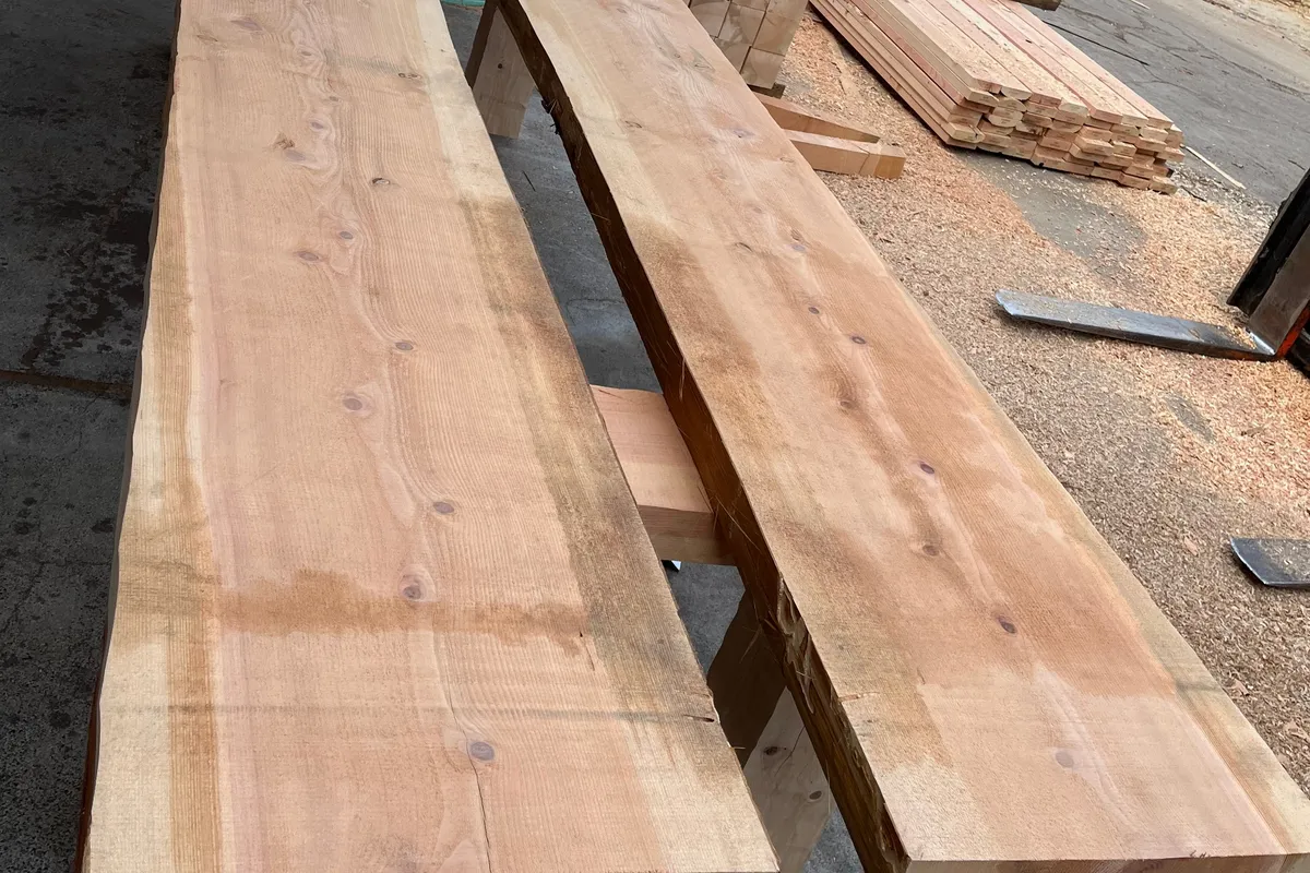 Two long, thick slabs lying side by side in the mill yard, their faces rough sawn and their edges left natural, on a floor of sawdust beside a stack of boards.