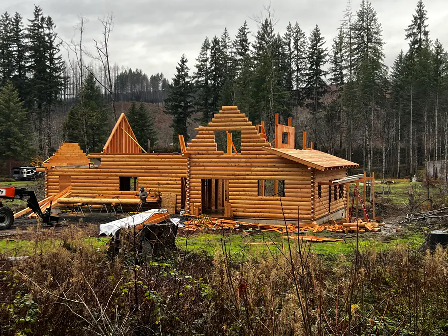 A D-log shell going up in a clearing, courses stacked to the gable and log bundles on the ground.