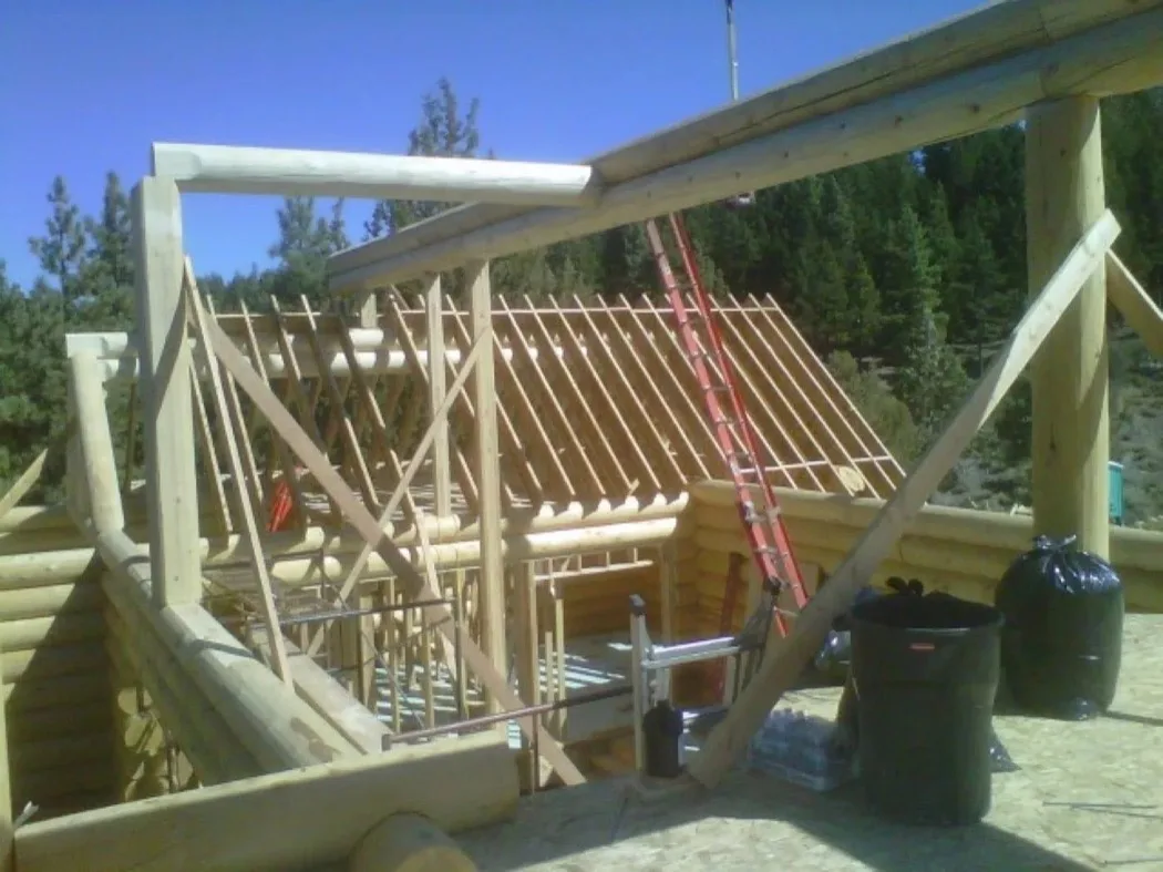 A log shell in full sun with its roof rafters up and no decking on them yet, bins and sacks standing on the subfloor.