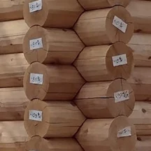 A saddle notch corner: peeled round cedar logs cupped over one another where two walls meet, the ends crossing in a column, each tagged with its number.