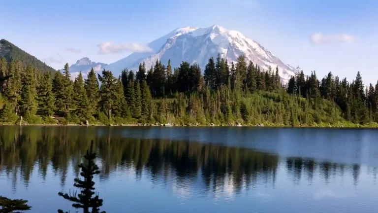 Log Homes in Washington