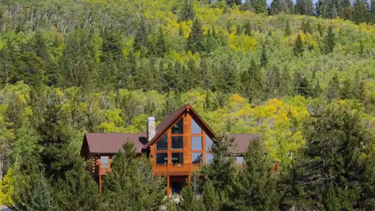 mid size log home floor plan in the forest 11zon