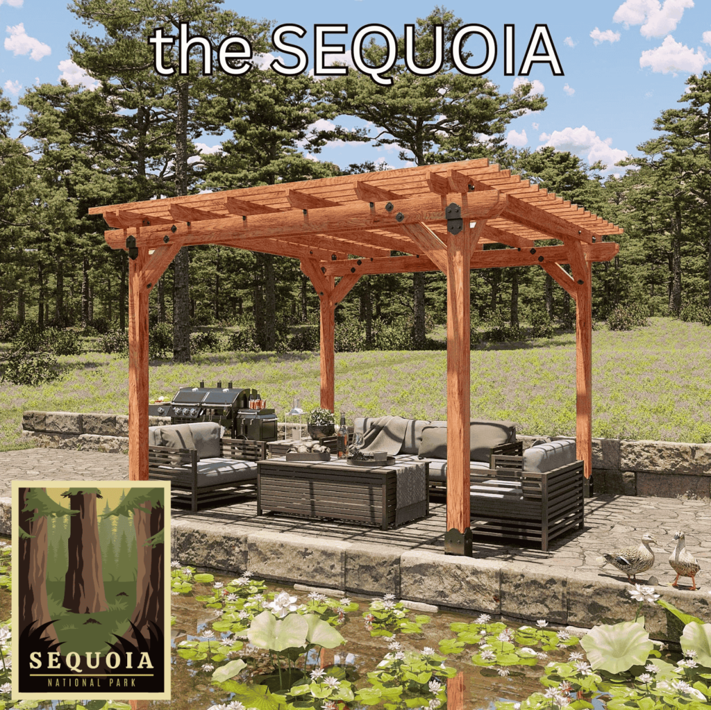 Sequoia