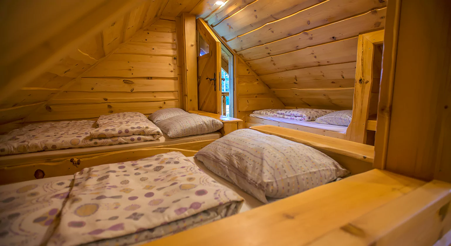 Choosing the Right Timber Species for Your Trusses