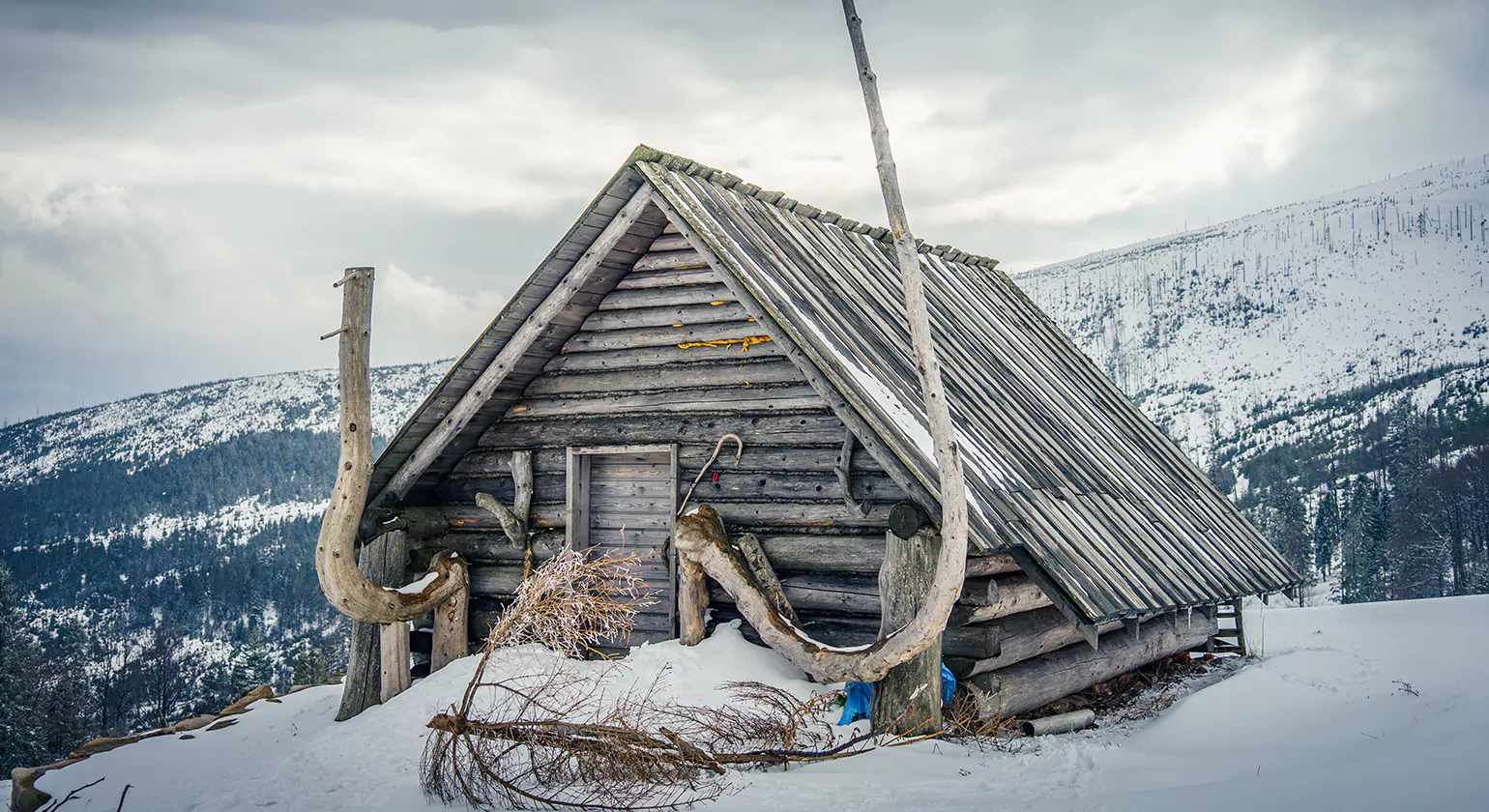 Preserving Historic Log Cabins Challenges and Success Stories