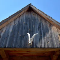 Timber Frame Barn Designs