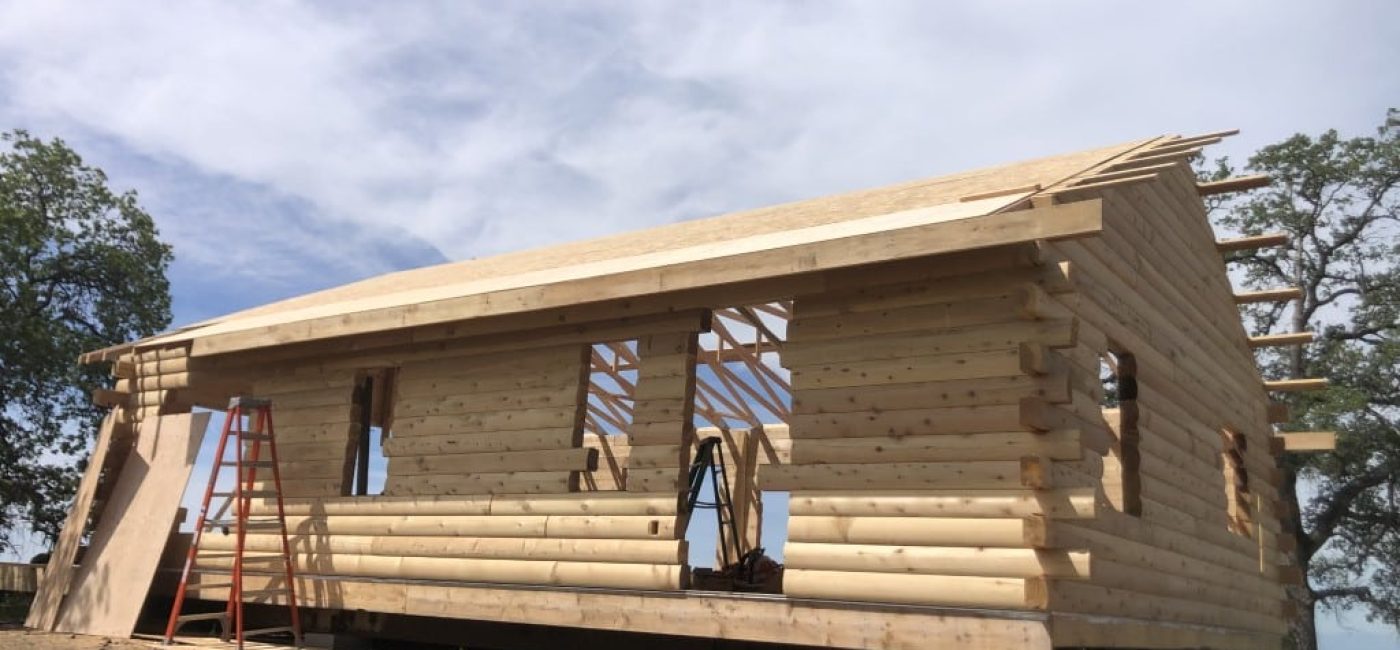 2024-04-17 11.50.43 (Medium)