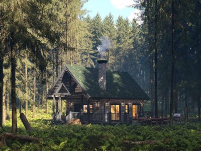 Lookout floor plan custom home nestled in the forest